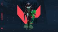 Viper helps control and manage space (Image via Riot Games)